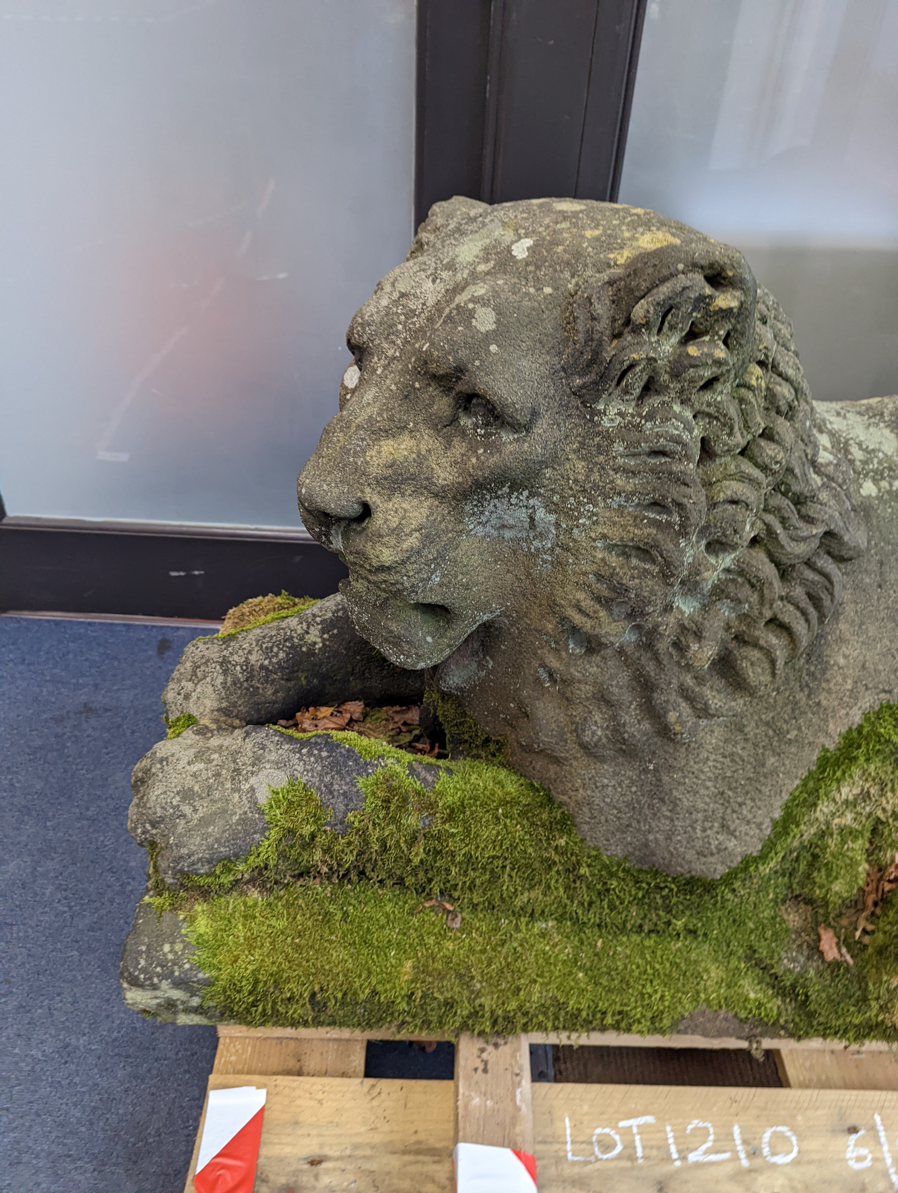 A pair of carved stone models of a recumbent lion and lioness, purchased from Crowther of Syon Lodge approximately 40 years ago. Length 122cm. Width 50cm. Height 60cm.